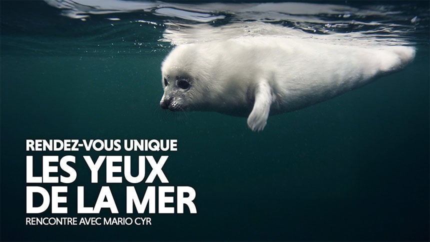 Les yeux de la mer – Mario Cyr
