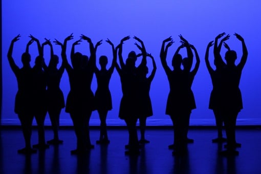 Des ailes pour voler